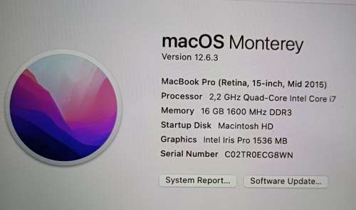 MacBook Pro (Retina) Mid 2015, Intel i7 Quad Core @2.,2Ghz, 16GB RAM, 250GB SSD, 15.4` (2880x1800)
