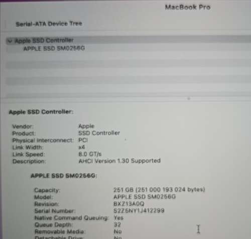 MacBook Pro (Retina) Mid 2015, Intel i7 Quad Core @2.,2Ghz, 16GB RAM, 250GB SSD, 15.4` (2880x1800)