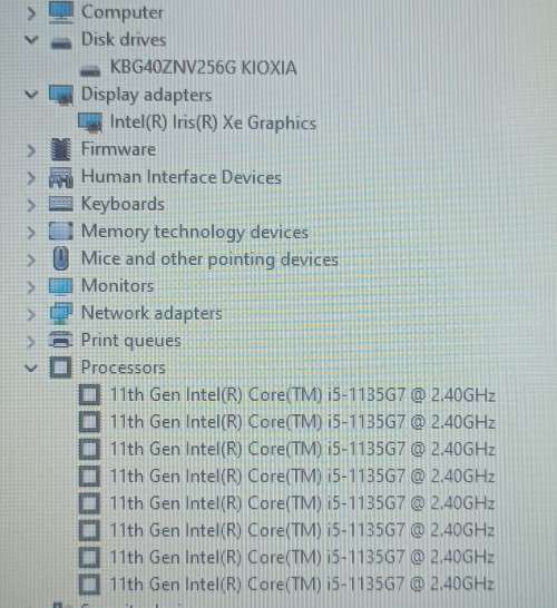 HP ProBook 450 G8 , 15.6` Notebook - 11th Gen Intel Core i5-1135G7, 256GB SSD, 8GB RAM, Windows 11