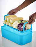 Tupperware Crisper