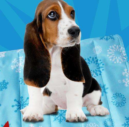 Pet Cooling Mat