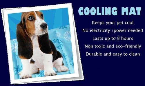 Pet Cool Mat