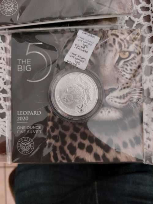 Big 5 silver 1 oz leopard