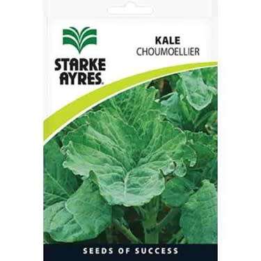Starke Ayres - Kale Seeds - Choumoellier