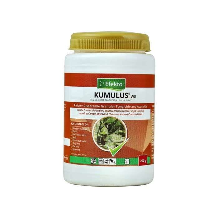 Efekto - Kumulus WG Fungicide - 200g