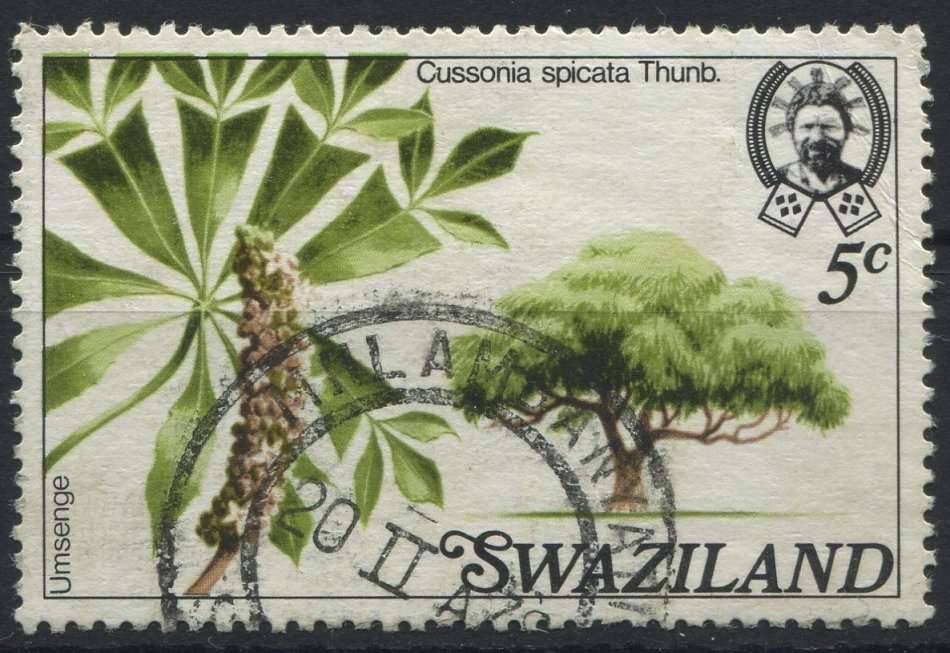 Swaziland