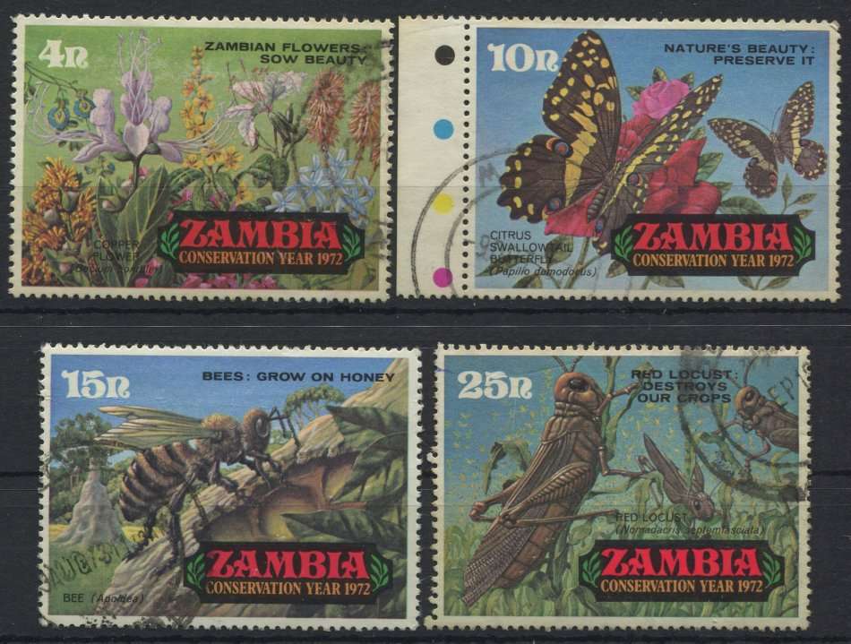 Zambia