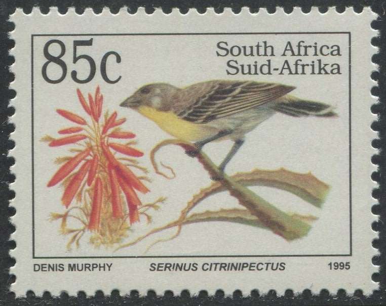 RSA - MNH