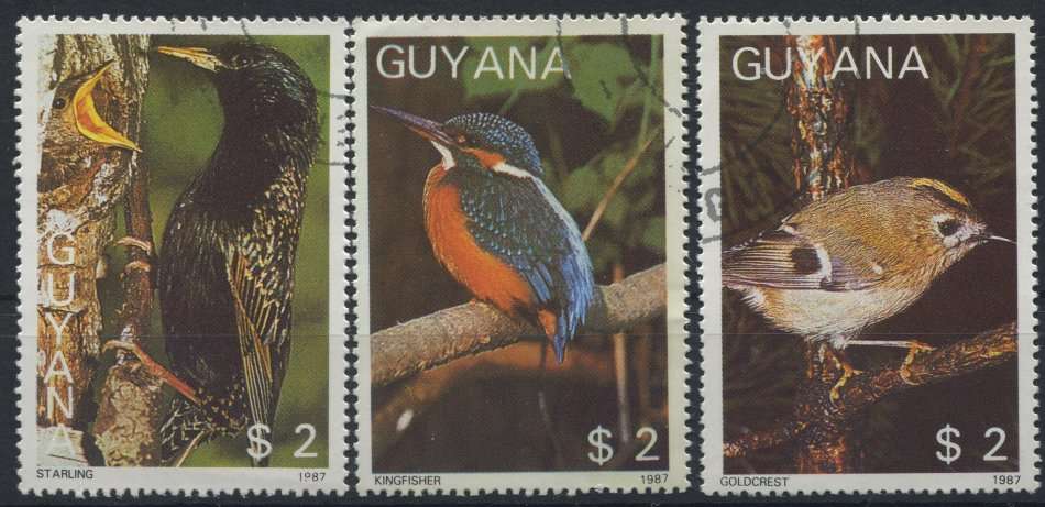Guyana - Birds - CTO