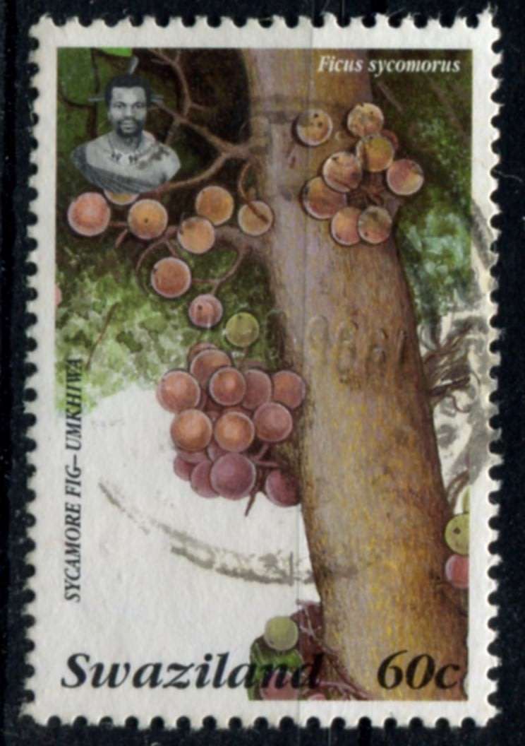 Swaziland - Used