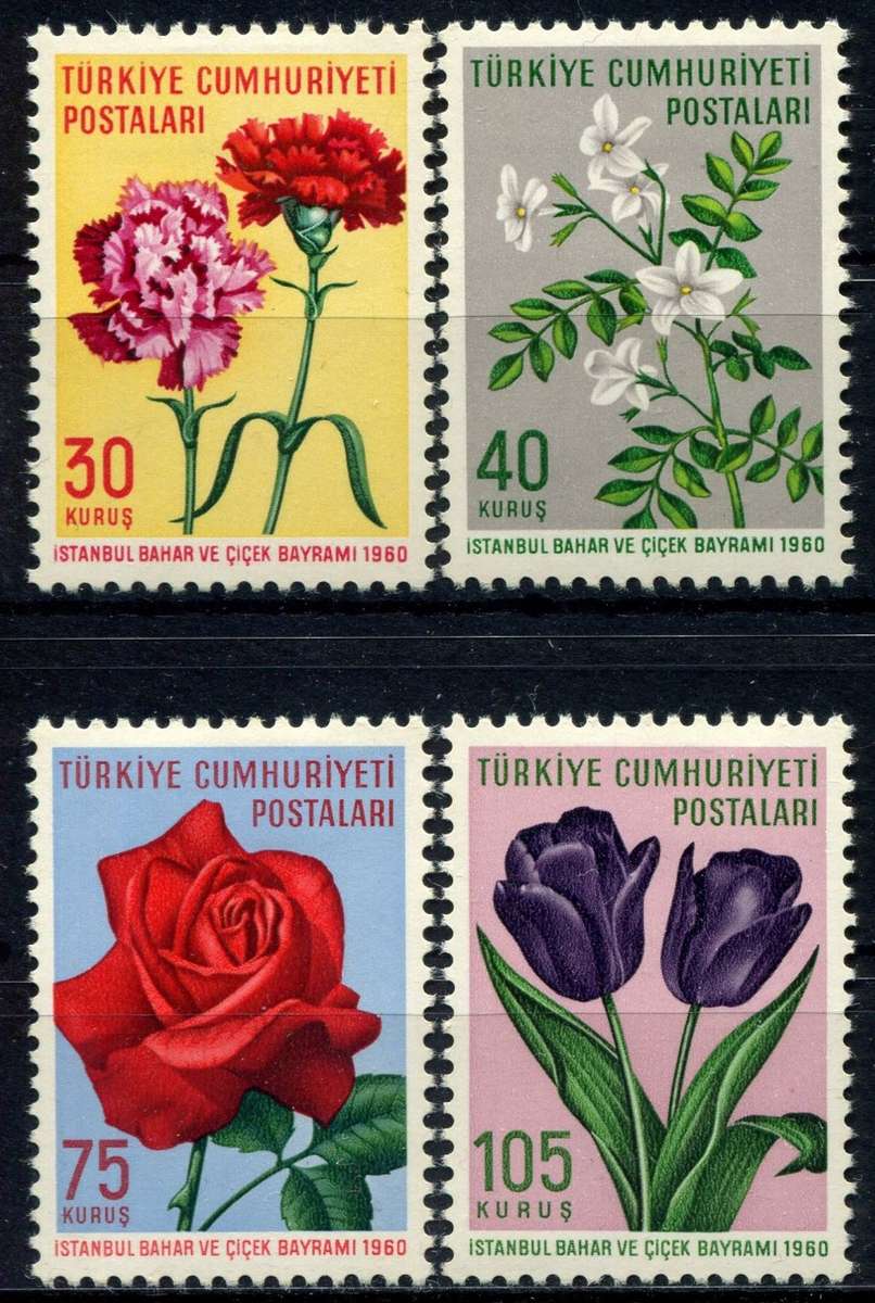 Turkey - Flowers - 1960 - MM