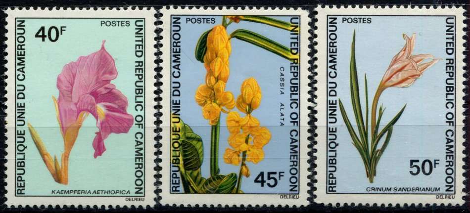 Cameroon - Flowers - 1972 - MNH