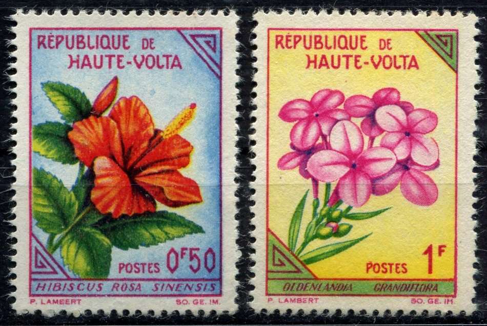 Upper Volta - Flowers - 1963 - MNH