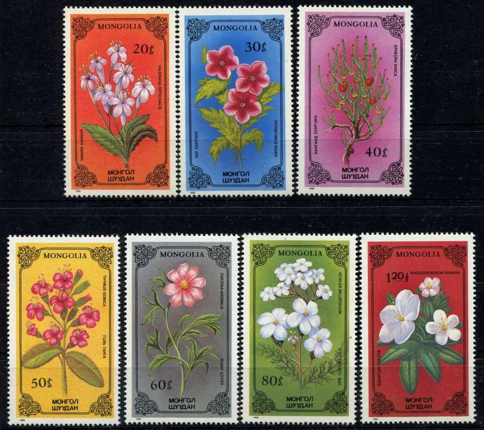 Mongolia - Flowers - 1986 - MNH