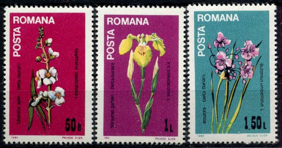 Romania - Flowers - 1984 - MNH
