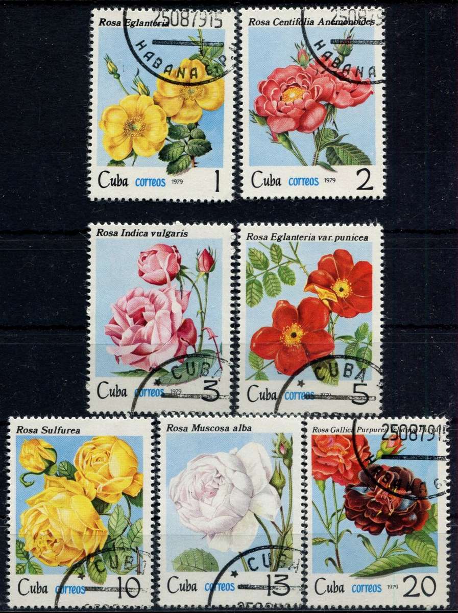 Cuba - Flowers - 1979 - CTO