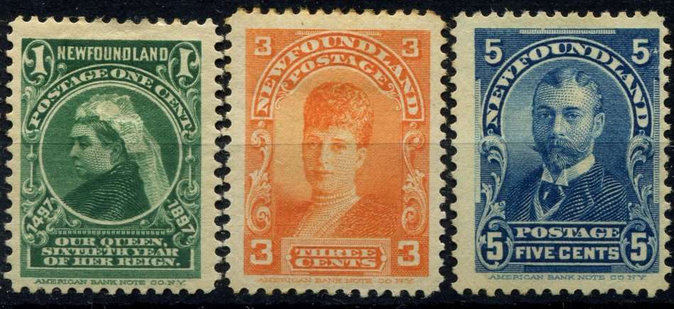 Newfoundland - MM - Some Toning - No Gum