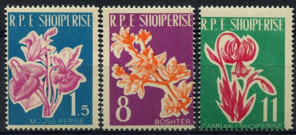 Albania - Flowers - 1961 - MNH