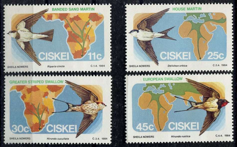 Ciskei - Birds - 1984 - MNH