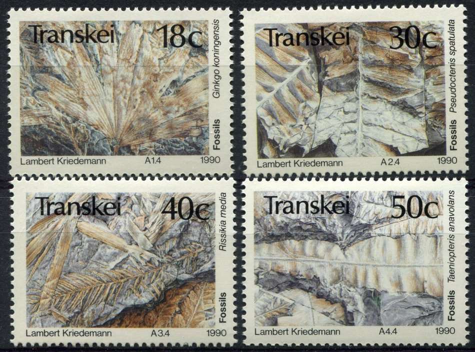 Transkei - 1990 - MNH