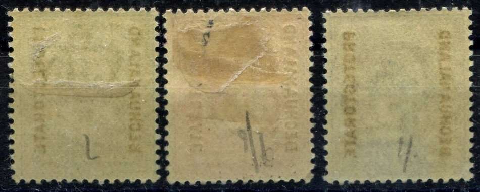 Bechuanaland  - 1904 - MM