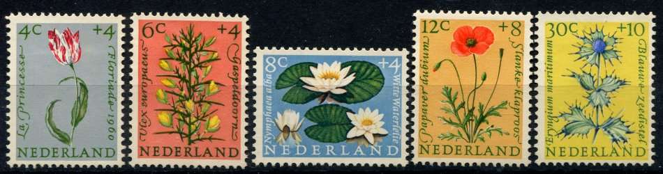 Netherlands - 1960  -  MM