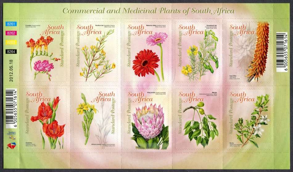 RSA - Full Sheet of 10 - 2012 - MNH