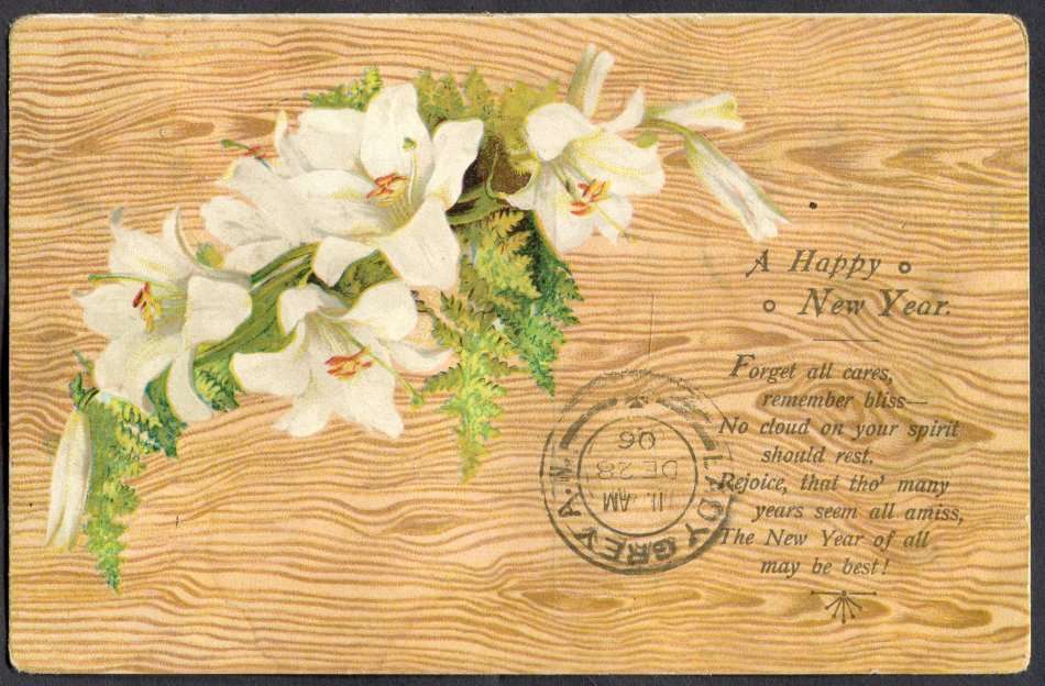 Cape of Good Hope - Post Card