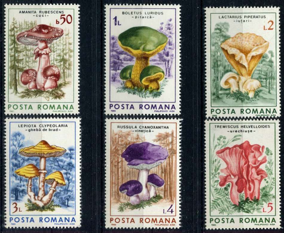 Romania - Fungi - 1986 - MNH