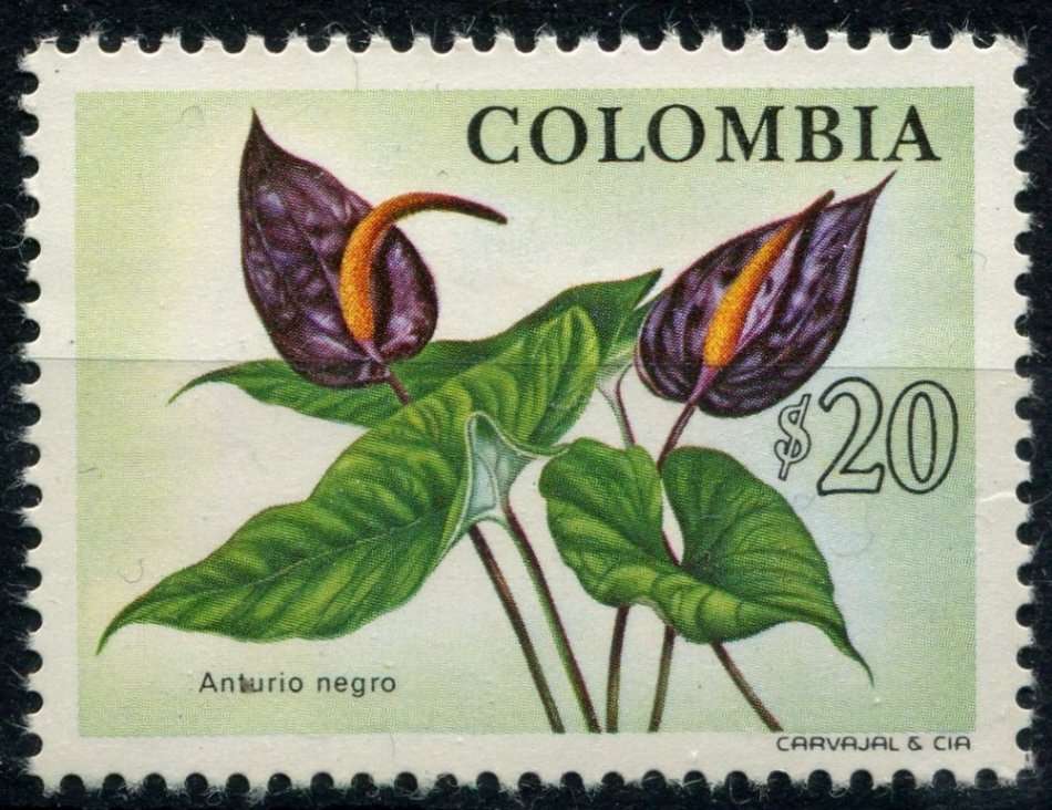 Colombia - Flowers - 1976 - MNH