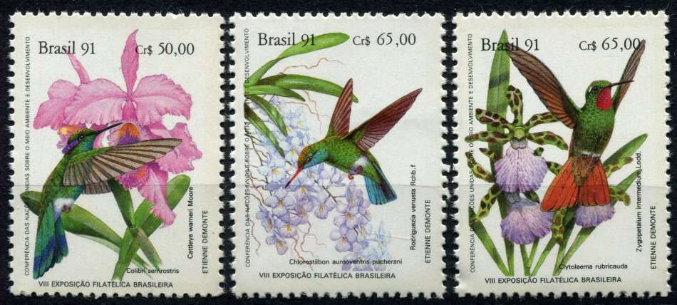Brazil - Birds - 1991 - MNH