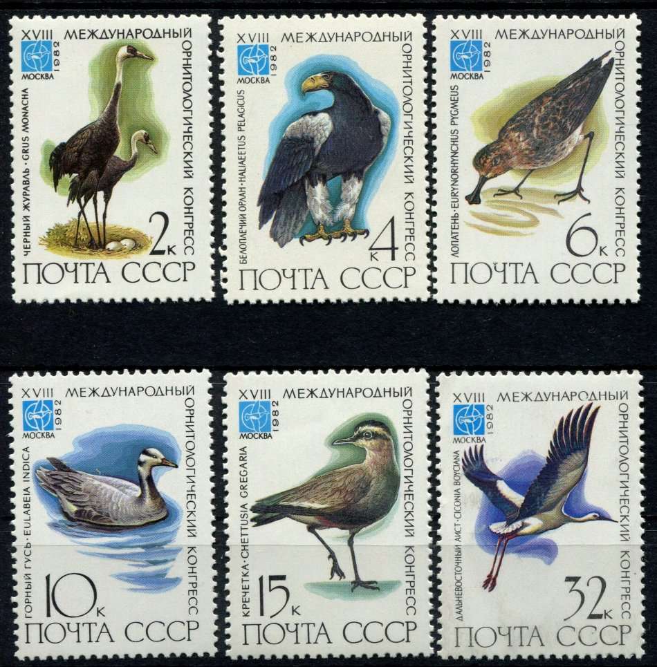 Russia - Birds - 1982 - MNH
