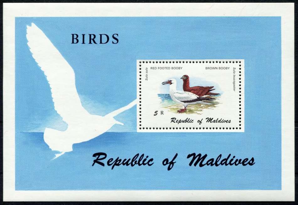 Maldives - Miniature Sheet - Birds - 1980 - MNH