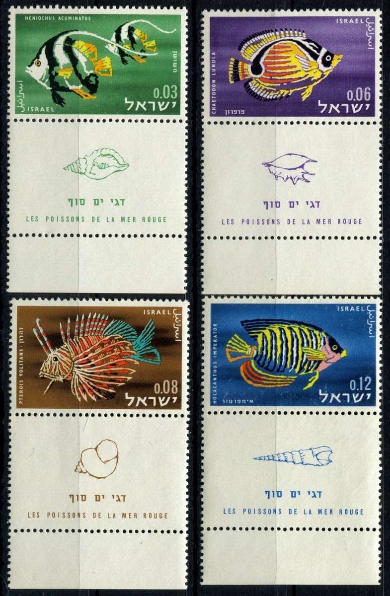Israel - Water Life - Fish - 1962 - MNH