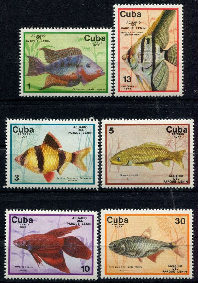 Cuba - Water Life - Fish - 1977 - MNH