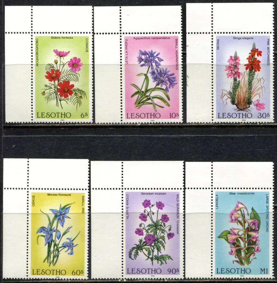 Lesotho - Flowers - 1985 - MNH