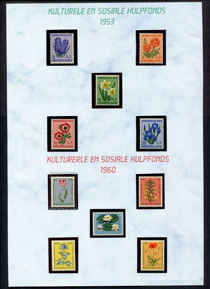 Netherlands - Flowers - 10 Stamps Mounted (Hinged) on Old Album Page