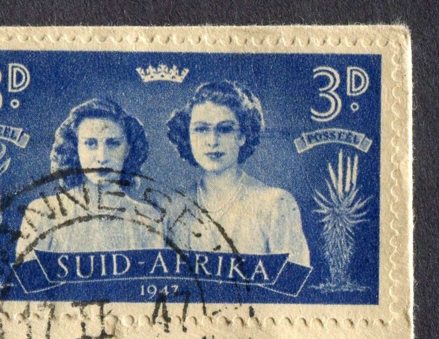 Union of SA - Cover With `Black-eyed Princess` Variety