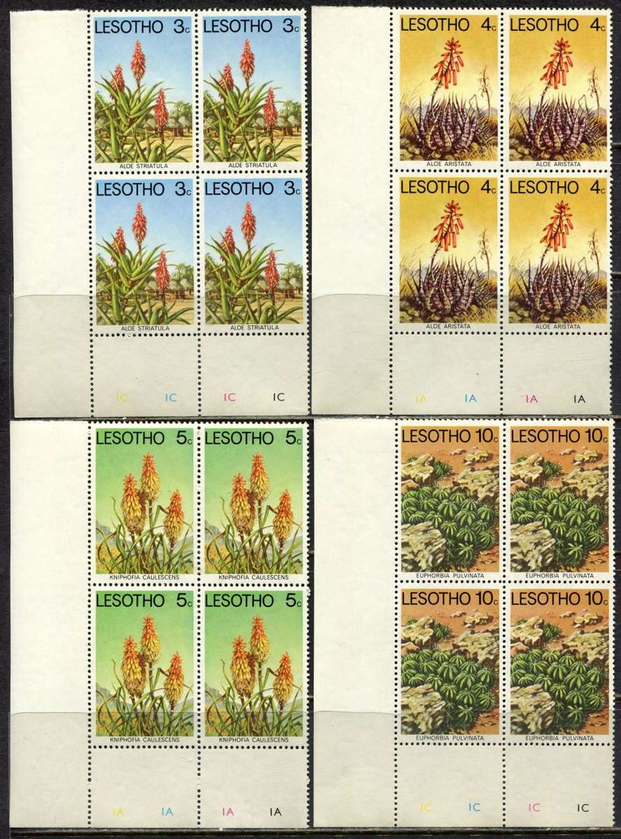 Lesotho - Aloes and Succulents - Part Set of 6 Control Blocks of 4 - 1977  - MNH