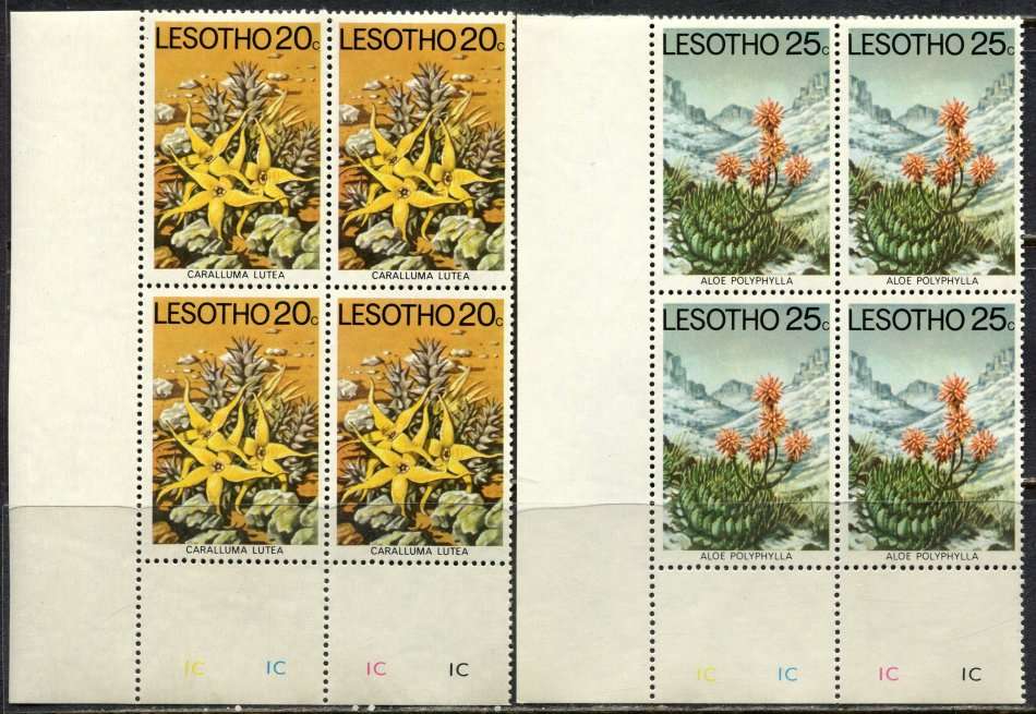 Lesotho - Aloes and Succulents - Part Set of 6 Control Blocks of 4 - 1977  - MNH