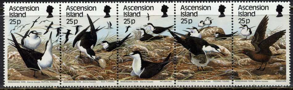 Ascension Island - Birds - 1988 - MNH
