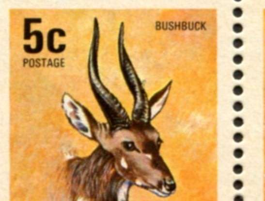 Rhodesia - Variety - Horn Flaw  - Brown Gum - 1974 - MNH