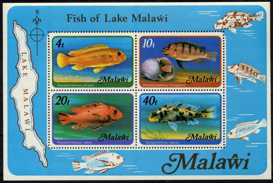 Malawi - Miniature Sheet - Fish - 1977 - MNH - No Watermark