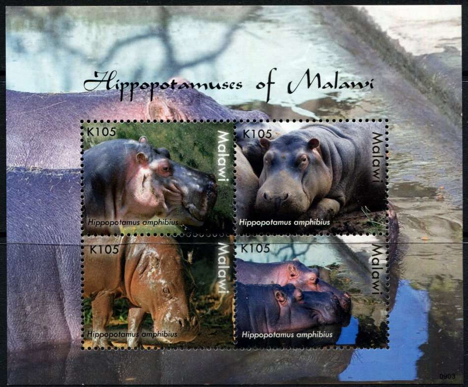 Malawi - Miniature Sheet - Animals - MNH