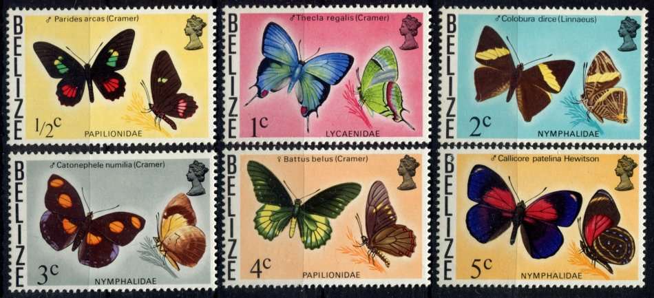Belize - Butterflies - 1974 - MNH