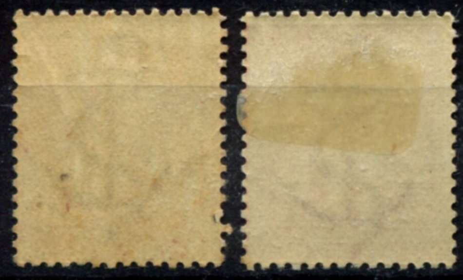 Cape of Good Hope - 1884 - MM