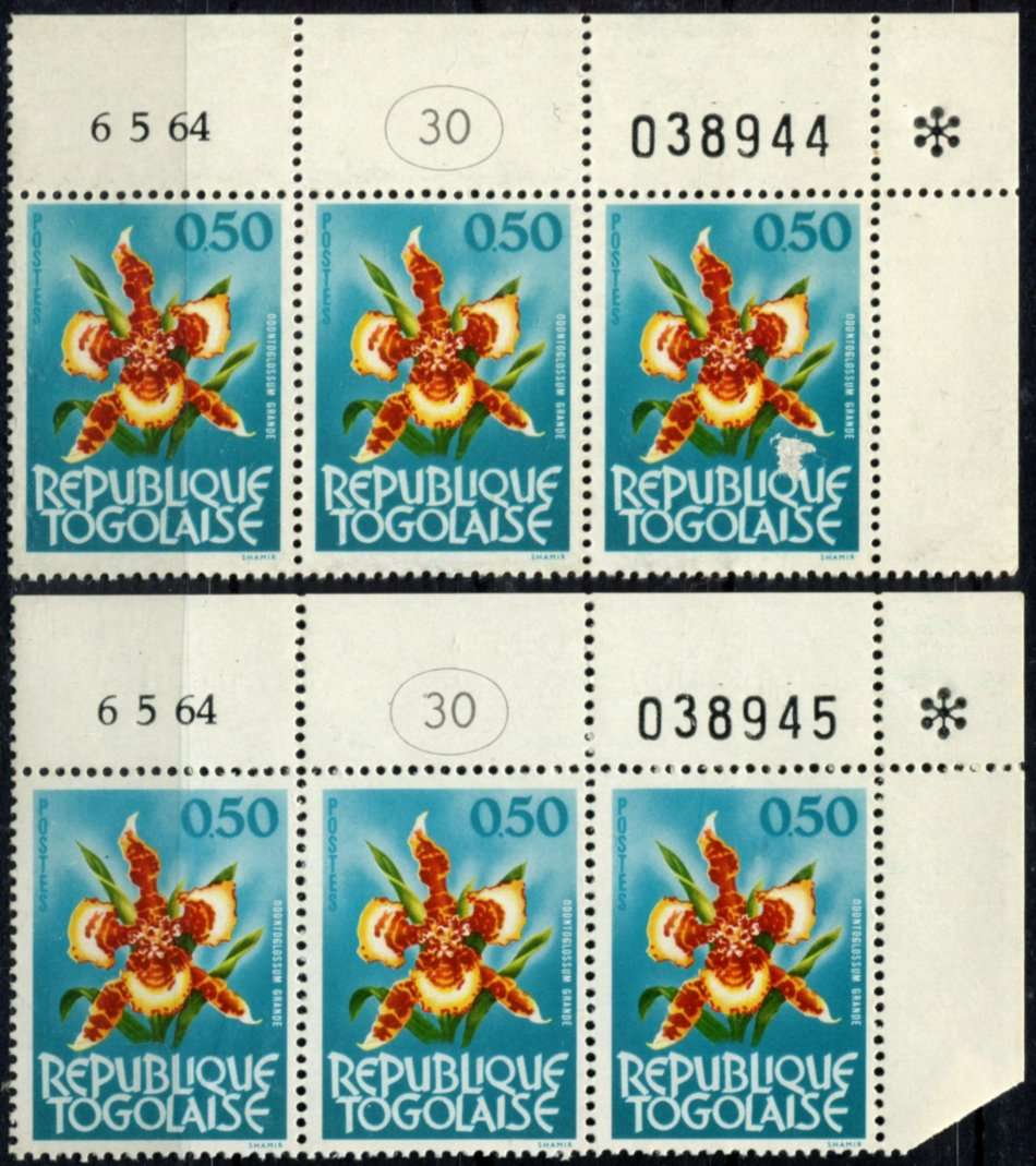 Togo - Flowers - 1964 - MNH