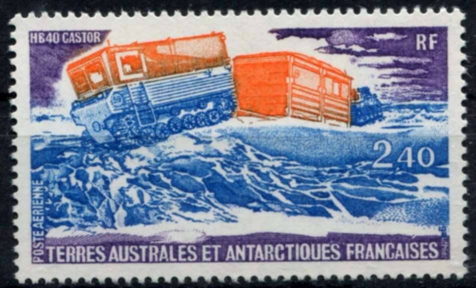 French Southern and Antarctic Territories - 1981 - MNH