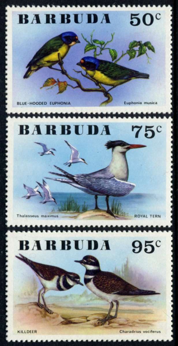 Barbuda - Birds - 1976 - MNH