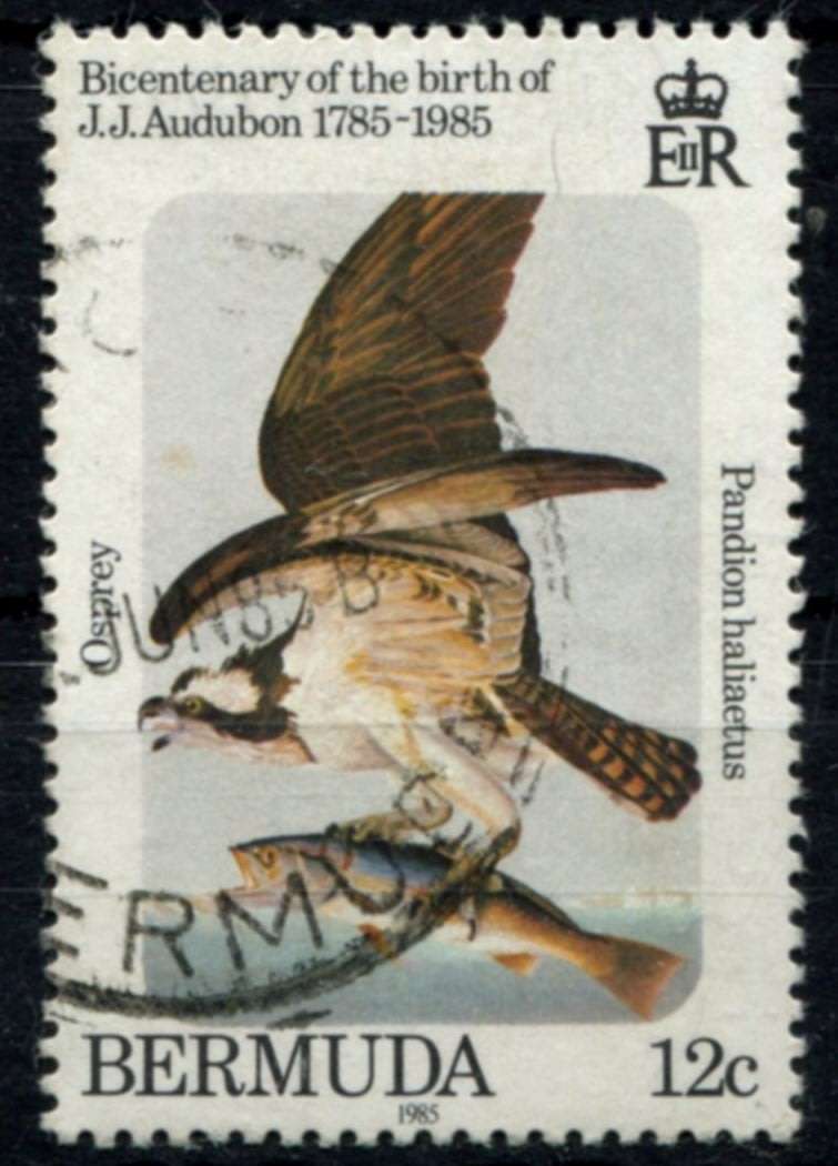 Bermuda - Birds - 1985 - Used